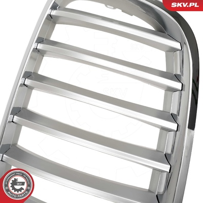 BMW X5 E70 RADIATOR GRILLE | OEM 51712150246