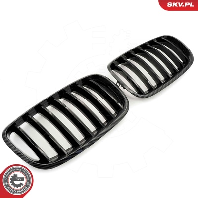 BMW X5 E70 RADIATOR GRILLE | OEM 51712150246