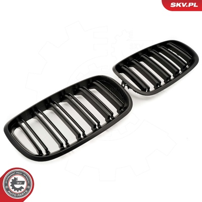 BMW X5 E70 RADIATOR GRILLE | OEM 51712150246
