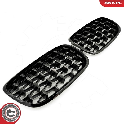 BMW X5 E70 RADIATOR GRILLE | OEM 51712150246