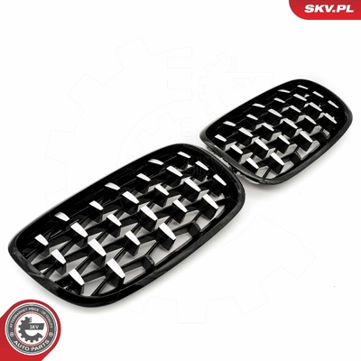 BMW X5 E70 RADIATOR GRILLE | OEM 51712150246