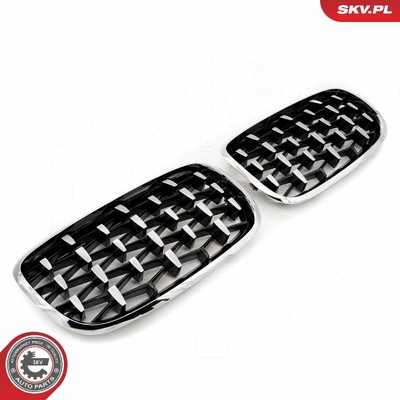 BMW X5 E70 RADIATOR GRILLE | OEM 51712150246