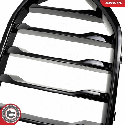 BMW X6 G06 RADIATOR GRILLE | OEM 51138745303