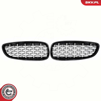 BMW Z4 E89 RADIATOR GRILLE | OEM 51137191509
