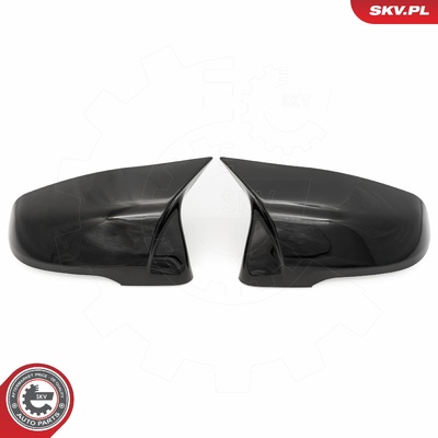 BMW X1 MIRROR HOUSING | OEM 51167386567