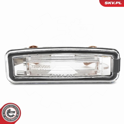 FORD FOCUS I LICENSE PLATE LIGHTING | OEM 1109489