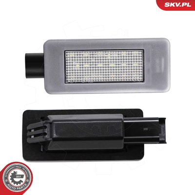 CITROEN C5 III PEUGEOT 2008 I 207 CC 308 II LED LICENSE PLATE LIGHTING | OEM 9682403680