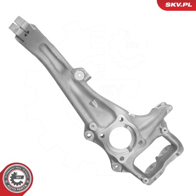 TESLA MODEL X RIGHT RIGHT | OEM 1027316-00-F