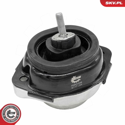 BMW X5 ENGINE MOUNT | OEM 6758430