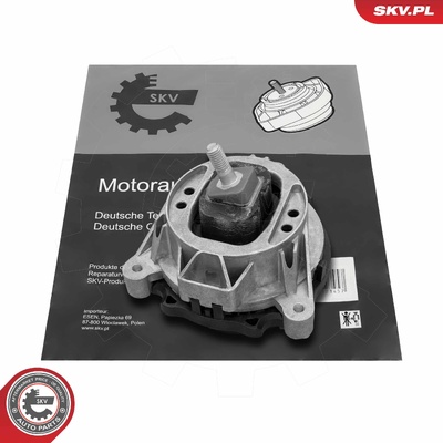 BMW 1 SERIES 2 3 4 RIGHT RIGHT | OEM 22116855460