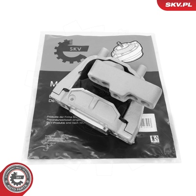 AUDI A3 SKODA OCTAVIA II SUPERB II YETI VW BEETLE CADDY IV EOS GOLF V VI JETTA III IV SCIROCCO III ENGINE MOUNT | OEM 1K0199262CB