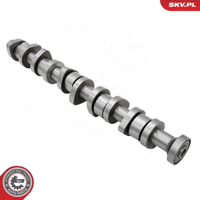 VW TRANSPORTER T5 MULTIVAN T5 TOUAREG CALIFORNIA T5 CAMSHAFT | OEM 070109101Q