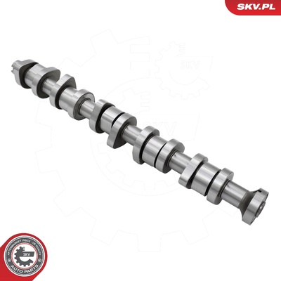 VW TRANSPORTER T5 MULTIVAN T5 TOUAREG CALIFORNIA T5 CAMSHAFT | OEM 070109101P