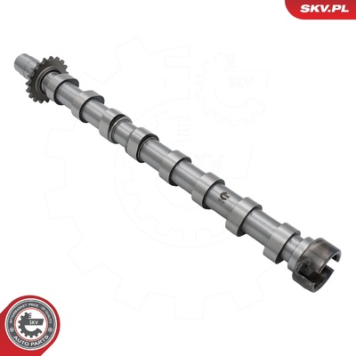 Camshaft 80SKV009