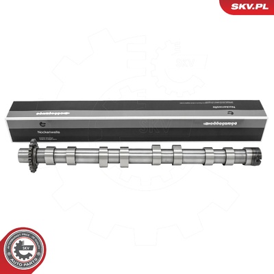 CITROEN FIAT FORD PEUGEOT VOLVO CAMSHAFT | OEM 0801AC