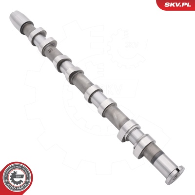 AUDI A3 A4 B7 TT SEAT ALTEA ALTEA XL LEON TOLEDO III VW EOS GOLF V JETTA III PASSAT B6 CAMSHAFT | OEM 06F109102B