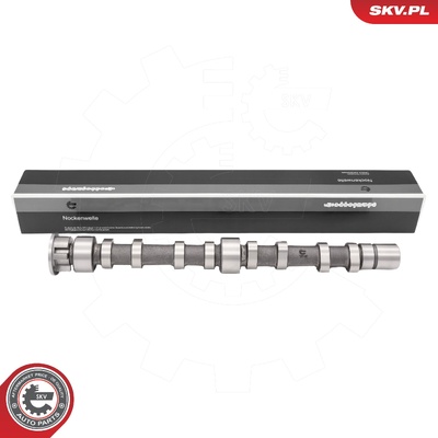 AUDI A1 A3 SEAT ALTEA ALTEA XL LEON TOLEDO III IV SKODA OCTAVIA II RAPID SUPERB II VW EOS GOLF V VI PASSAT B6 B7 CAMSHAFT | OEM 03C109101DD