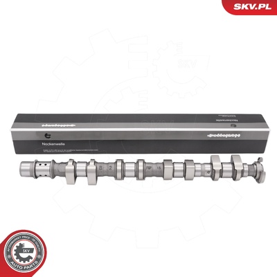 CHEVROLET CRUZE ORLANDO OPEL ASTRA H J INSIGNIA A MOKKA ZAFIRA CAMSHAFT | OEM 55561747