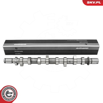 RENAULT CAPTUR I CLIO III IV FLUENCE KANGOO LAGUNA III MEGANE III IV SCENIC III CAMSHAFT | OEM 8200978873