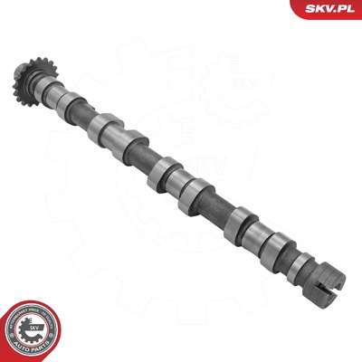 Camshaft 80SKV073