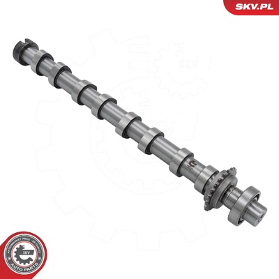 Camshaft 80SKV074