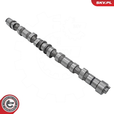 Camshaft 80SKV075