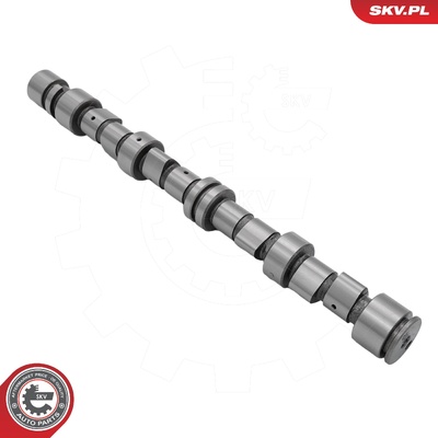 Camshaft 80SKV077