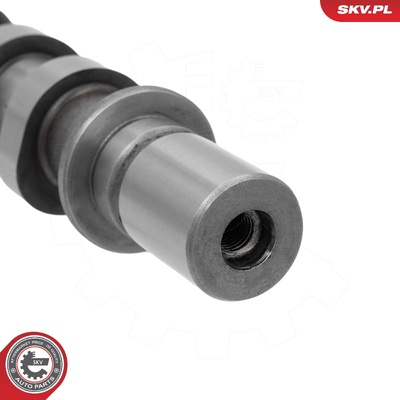 Camshaft 80SKV078
