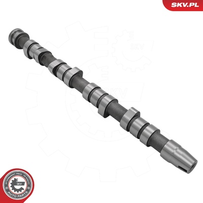Camshaft 80SKV081