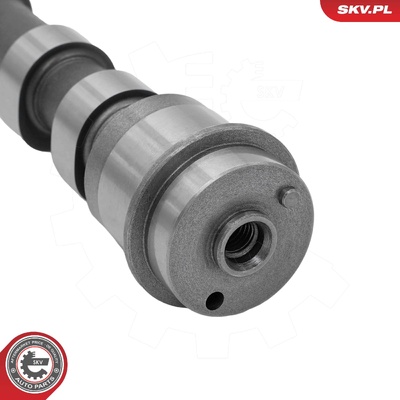 Camshaft 80SKV082