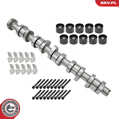 VW TRANSPORTER T5 MULTIVAN T5 TOUAREG CALIFORNIA T5 CAMSHAFT SET | OEM 070109101P
