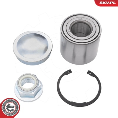 RENAULT GRAND SCENIC II MEGANE II WHEEL BEARING KIT | OEM 432001539R