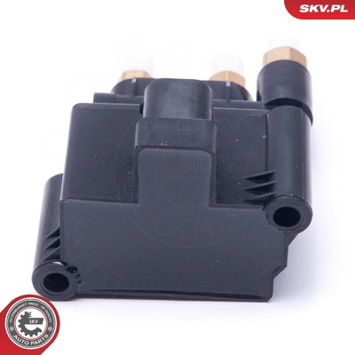 MERCEDES-BENZ EQC E-CLASS S213 R-CLASS W251 VALVE, COMPRESSED-AIR SYSTEM | OEM A2513200158