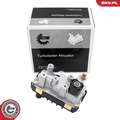 JEEP GRAND CHEROKEE MERCEDES-BENZ KLASA E KLASA M SPRINTER II TURBINE VALVE | OEM 6NW009660-00 / G-001