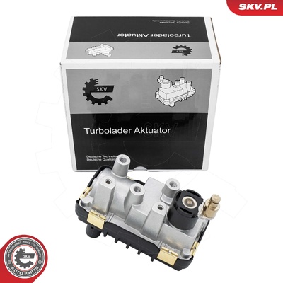 MERCEDES-BENZ KLASA E KLASA S TURBINE VALVE | OEM 6NW008412-6 / G-109