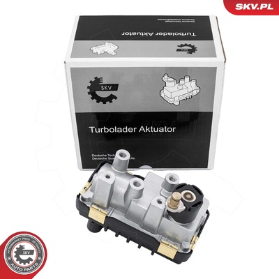 VOLVO S60 I S80 II V70 II III XC70 I II XC90 I TURBINE VALVE | OEM 6NW009543-04 / G-026