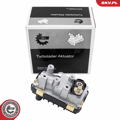 VOLVO S80 II V70 III XC60 I XC70 II TURBINE VALVE | OEM 6NW009543 / G-038