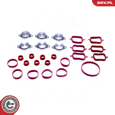 BMW 1 (E87) 3 (E46) 3 (E90, E91, E92) 5 (E60, E61) X3 (E83) 6X32MM REPAIR KIT | OEM 11612246949