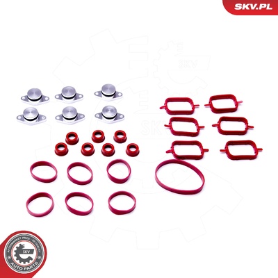 BMW 1 (E87) 3 (E46) 3 (E90, E91, E92) 5 (E60, E61) X3 (E83) 6X22MM REPAIR KIT | OEM 11612246949