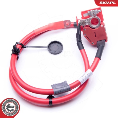 BMW F20 F21 F22 F87 F23 BATTERY POSITIVE CABLE | OEM 61129253111