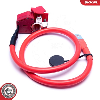 BMW 5 SERIES G30, 7 SERIES G11, G12 BATTERY POSITIVE CABLE | OEM 61126998059