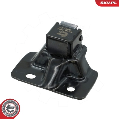 RENAULT KANGOO REAR DOOR CATCH | OEM 8200497816