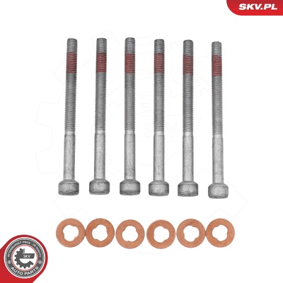A0009902907 MERCEDES A-CLASS B-CLASS C-CLASS E-CLASS CLC-CLASS CLK S-CLASS R-CLASS M-CLASS GLK-CLASS SPRINTER | OEM 6-PIECE BOLT AND WASHER SET