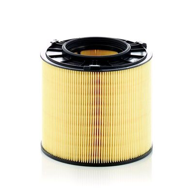 MANN Filter Air Filter - C17013