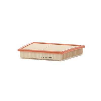 MANN Filter Air Filter - C22018