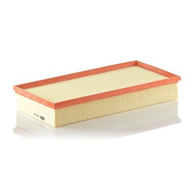MANN Filter Air Filter - C39219