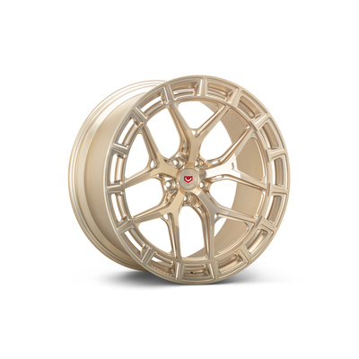 Vossen  - LC3-01