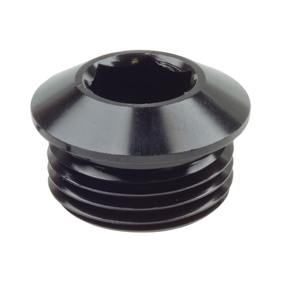 Raceworks An In Hex O-Ring Plug An-8 - RWF-814-08BK
