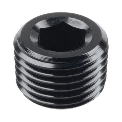 Raceworks Npt Plug 1/8In - RWF-932-02BK