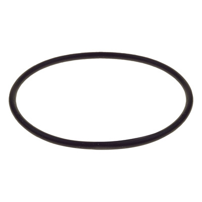 Raceworks Replacement O-Ring for Fuel Filters - RWM-007